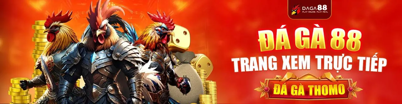 Hình ảnh đá gà trực tuyến 88aa